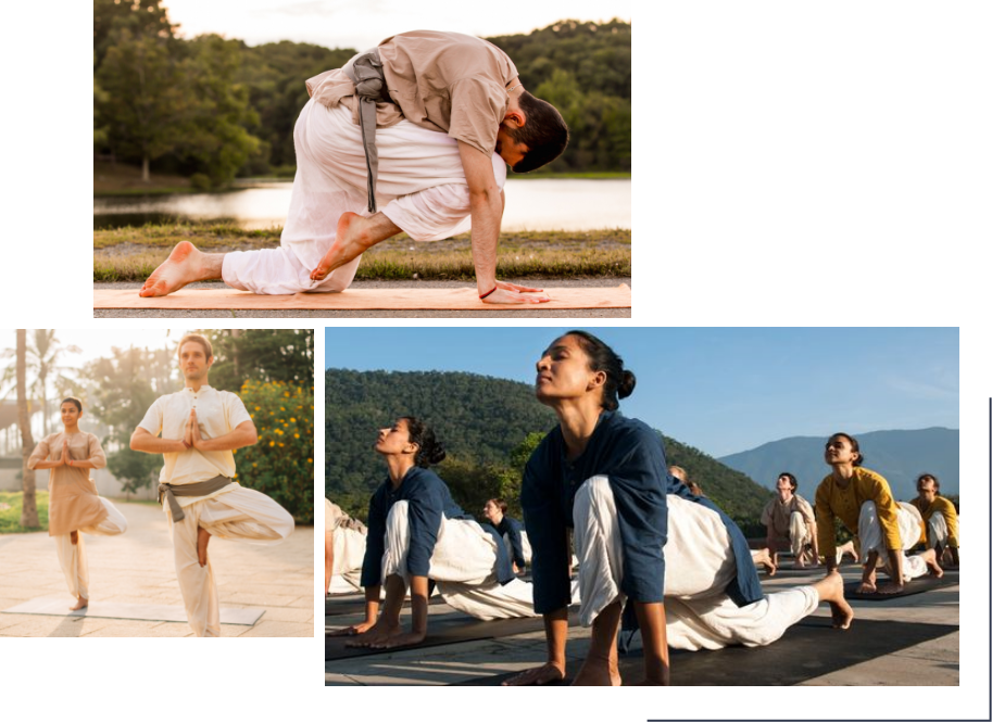 Classical Hatha Yoga Descriptions — PAUSE Health & Wellness